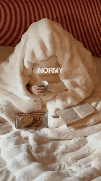 Normy