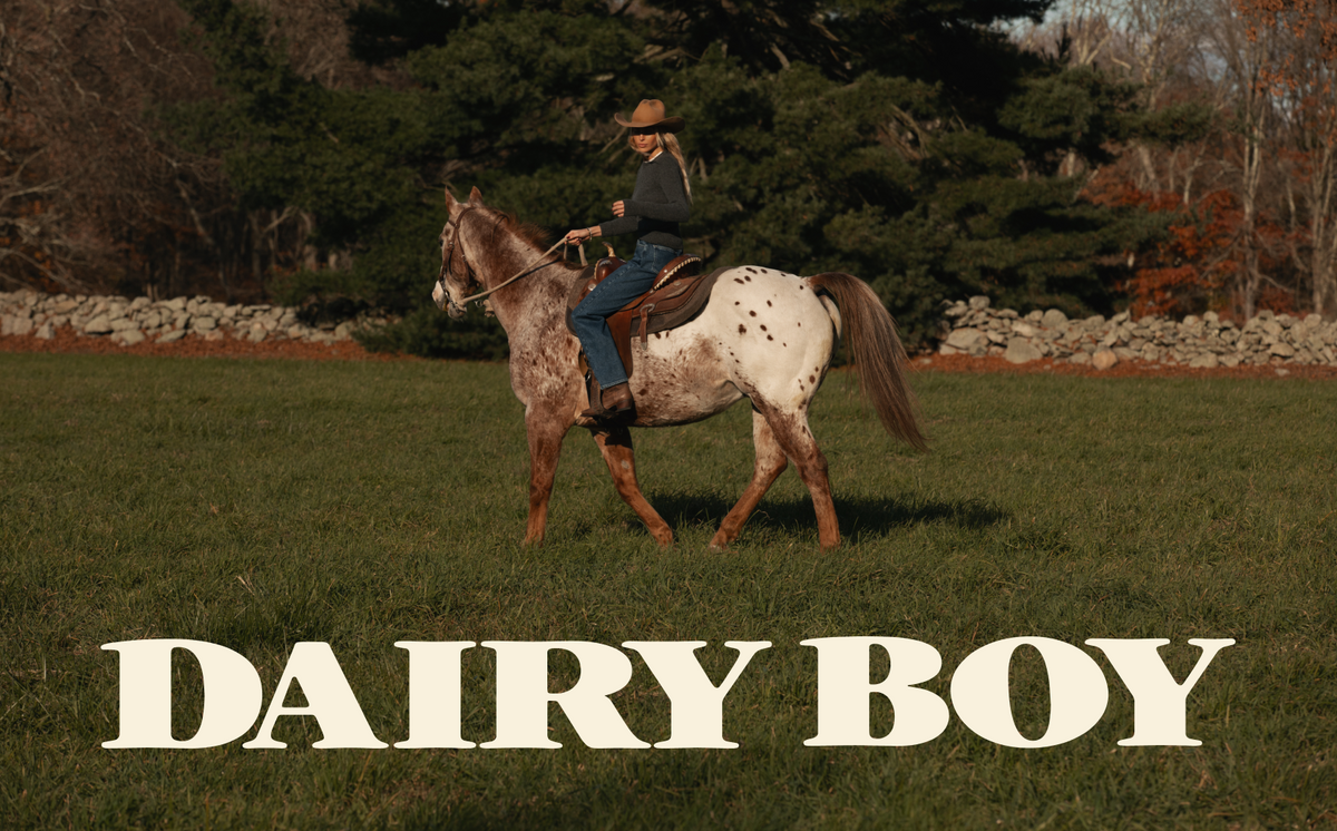 Dairy Boy